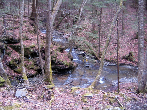 view into Hoxie Gorge