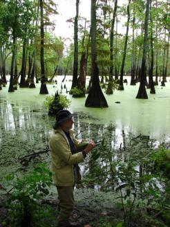 David Brandenburg hunting plants!